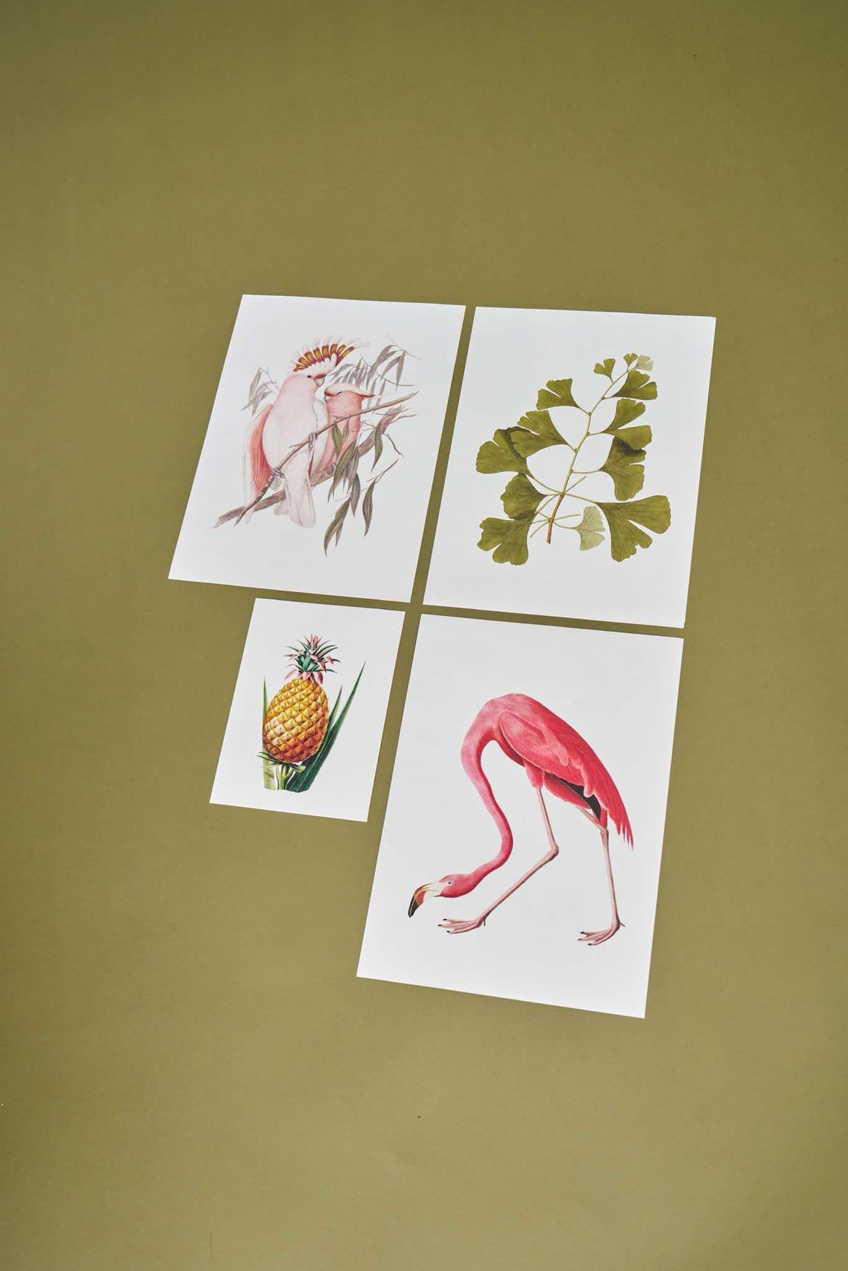 Vintage Botanical Prints A4